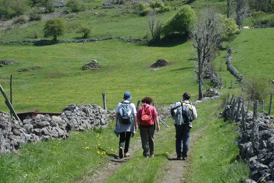 trois randonneurs vus de dos marchent sur un chemin du quercy ; les prés sont délimités par des murets en pierre selon la tradition du pays