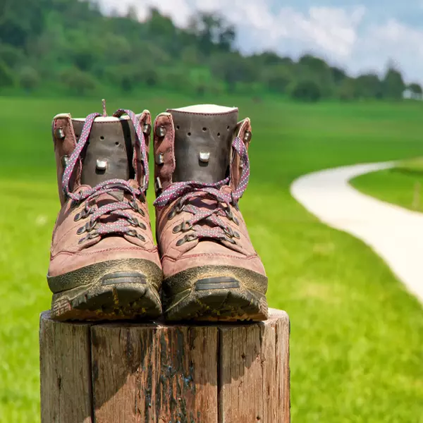 une paire de chaussure de marche au premier plan, posées sur une bille de bois et sur la droite un chemin qui passe au milieu des herbages