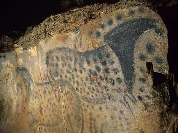 peinture pariétale de la grotte du pech merle dans le lot en occitanie ; représentation de deux équidés dos à dos, couleur noir sur le fond ocre de la grotte