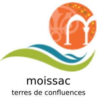 logo de l'office de tourisme de la ville de moissac et des terres de confluences