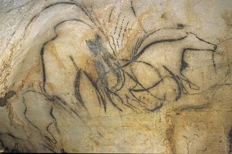 un dessin mural de la grotte préhistorique du pech merle dans le lot, région occitanie. Le dessin représente des équidés stylisés tracés à la peinture noire