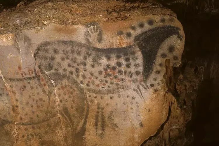 la grotte préhistorique du pech-merle : peinture murale de deux équidés tâchetés, couleur blanc et ocre, couleur des équidés blanc et gris sombre
